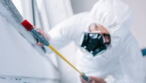 Real Estate Pest Inspections in Bethesda, OH